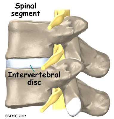 Low Back Pain